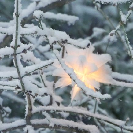 Weihnachten-Zahnarztpraxis-Haustein-Brieden